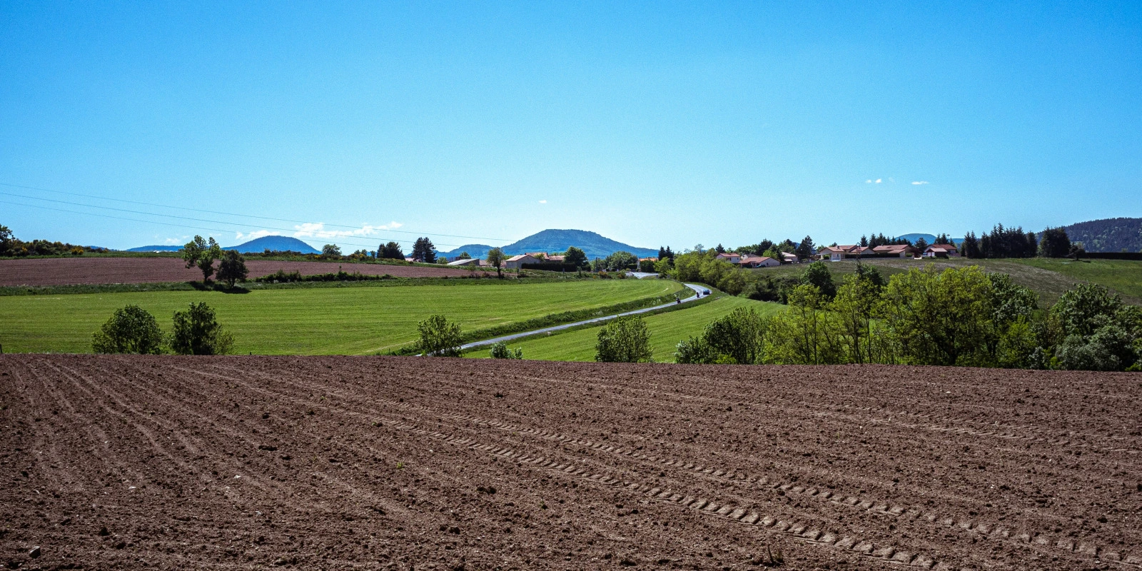 L'Impact des Études Sociales sur la Société Française