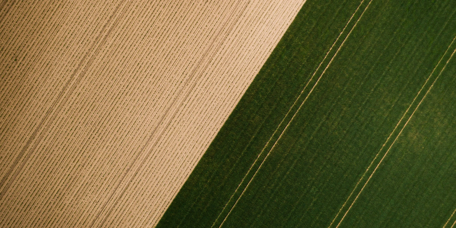 Le BTS Animation Sociale : Débouchés et Métiers