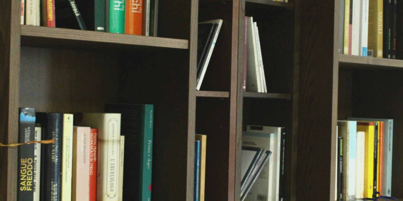 Les Débouchés Post-BUT CS (Carrières Sociales)