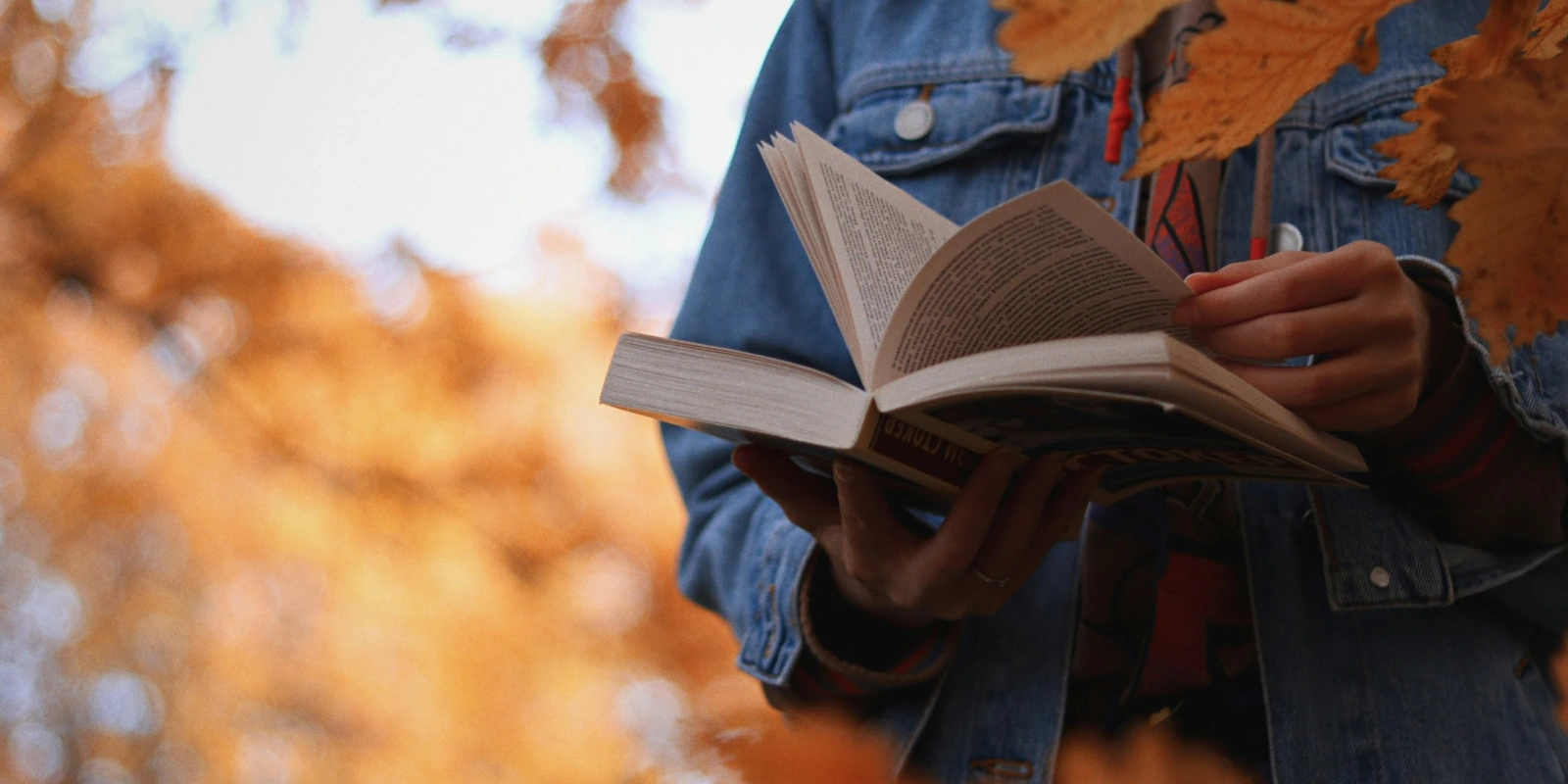 Les Parcours d'Études en Animation Socioculturelle