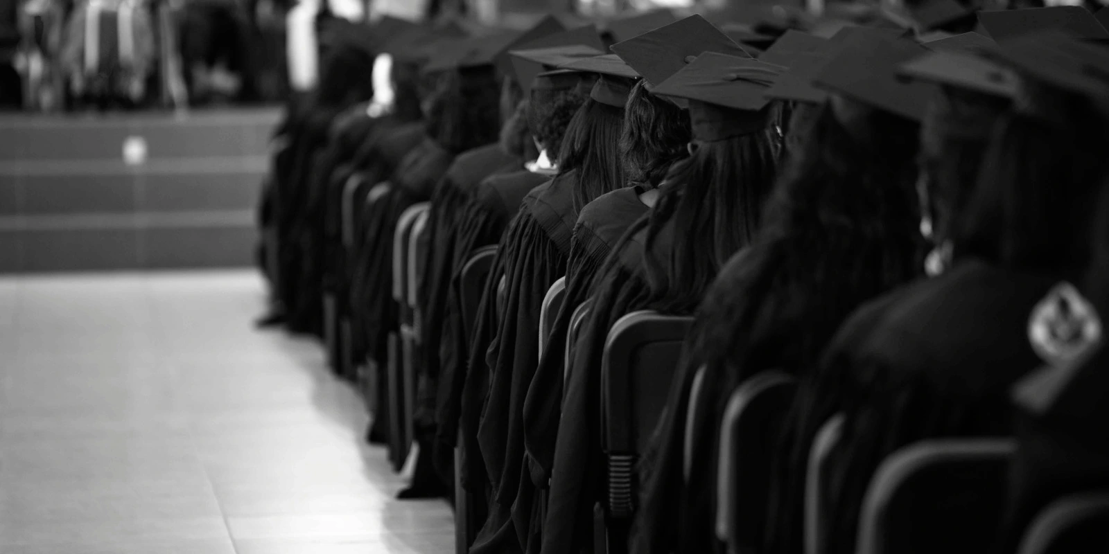 Quelles Sont les Matières du BUT Carrières Sociales